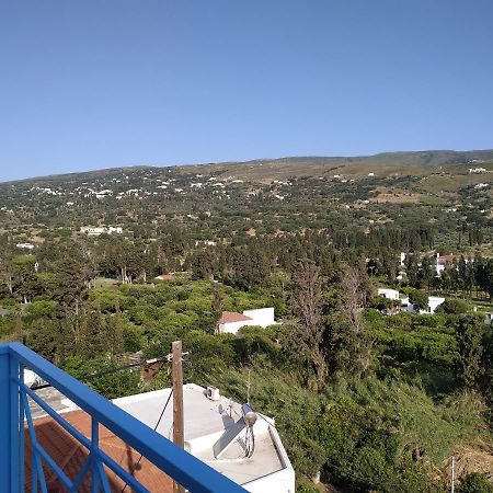 Anemone Bleu-Sea View-200M From Chora Pedestrian Apartment Andros Town Luaran gambar